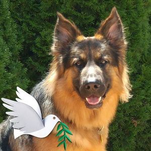 Meet your Posher, Robyn